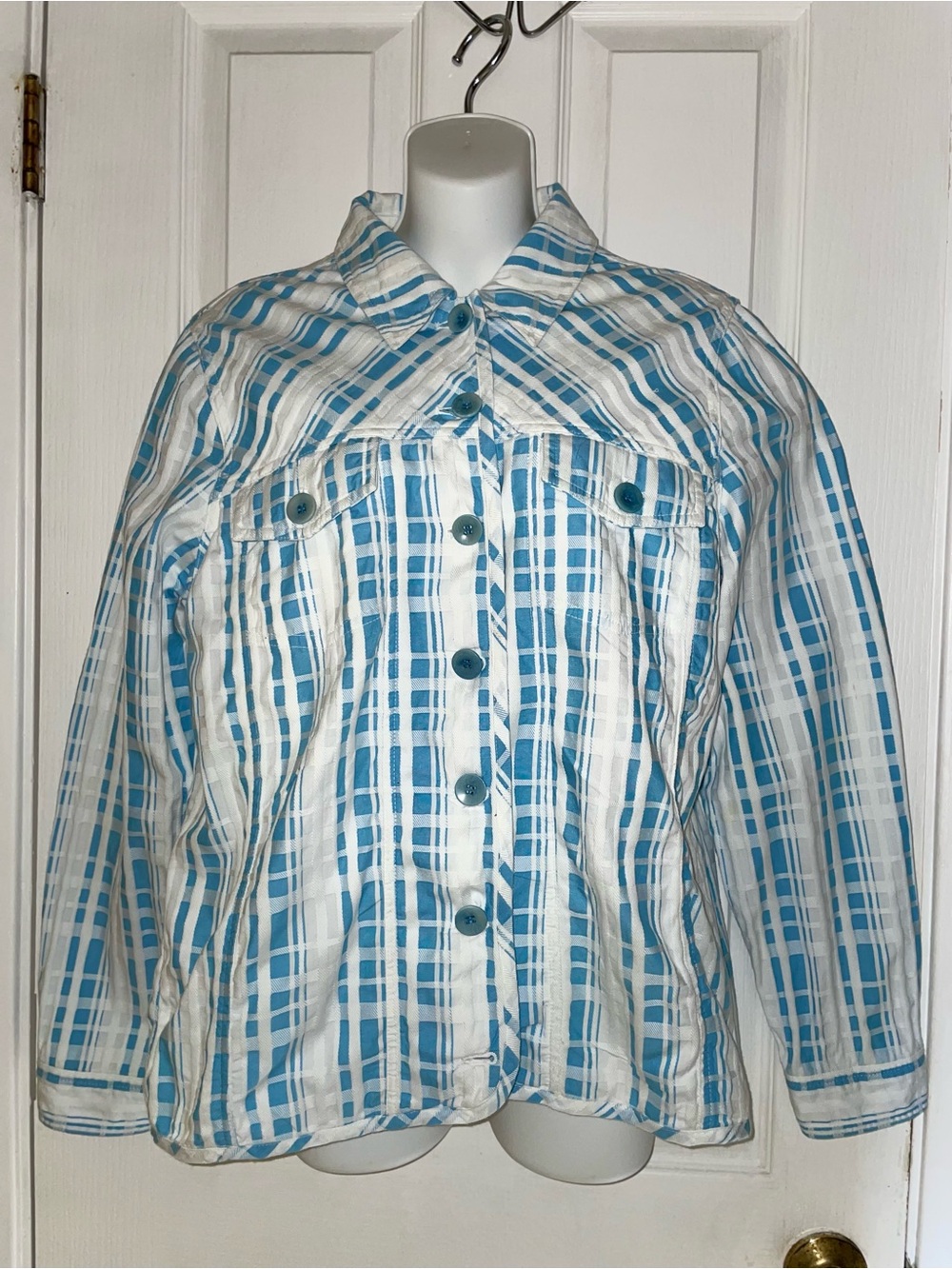 DKNY Blue and White Plaid Shirt